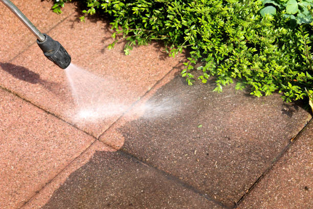 Best Eco-Friendly Pressure Washing in Faison, NC